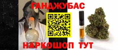 дмт Краснодар