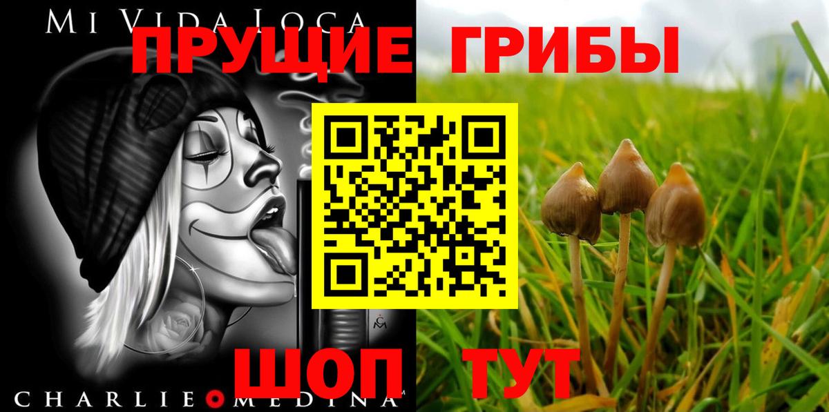 Ярцево  Галлюциногенные грибы Psilocybe  Вход с VPN  Галлюциногенные грибы мицелий 